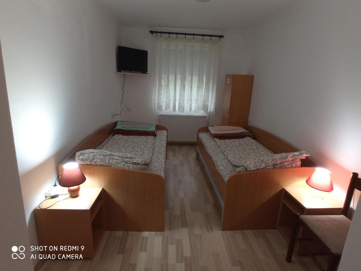 Guest House Vila Banjica Пірот Екстер'єр фото
