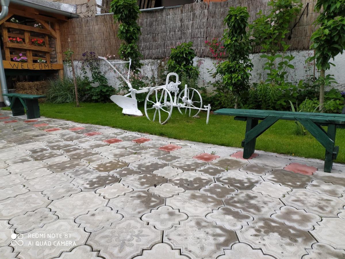 Guest House Vila Banjica Пірот Екстер'єр фото